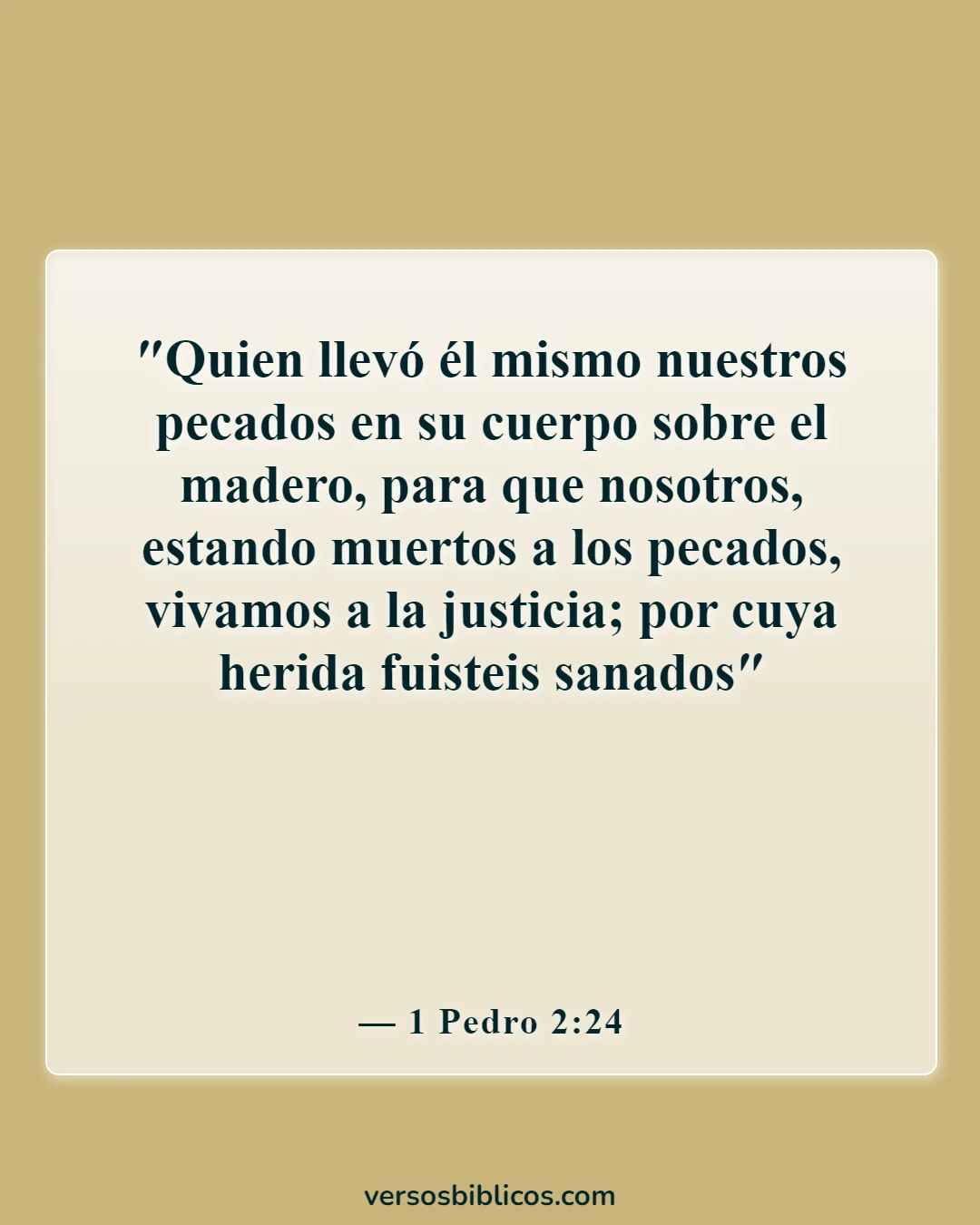 Versículos de la Biblia sobre la esperanza (1 Pedro 2:24)