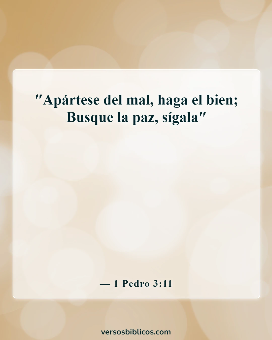 Versículos de la Biblia sobre la paz y la guerra (1 Pedro 3:11)