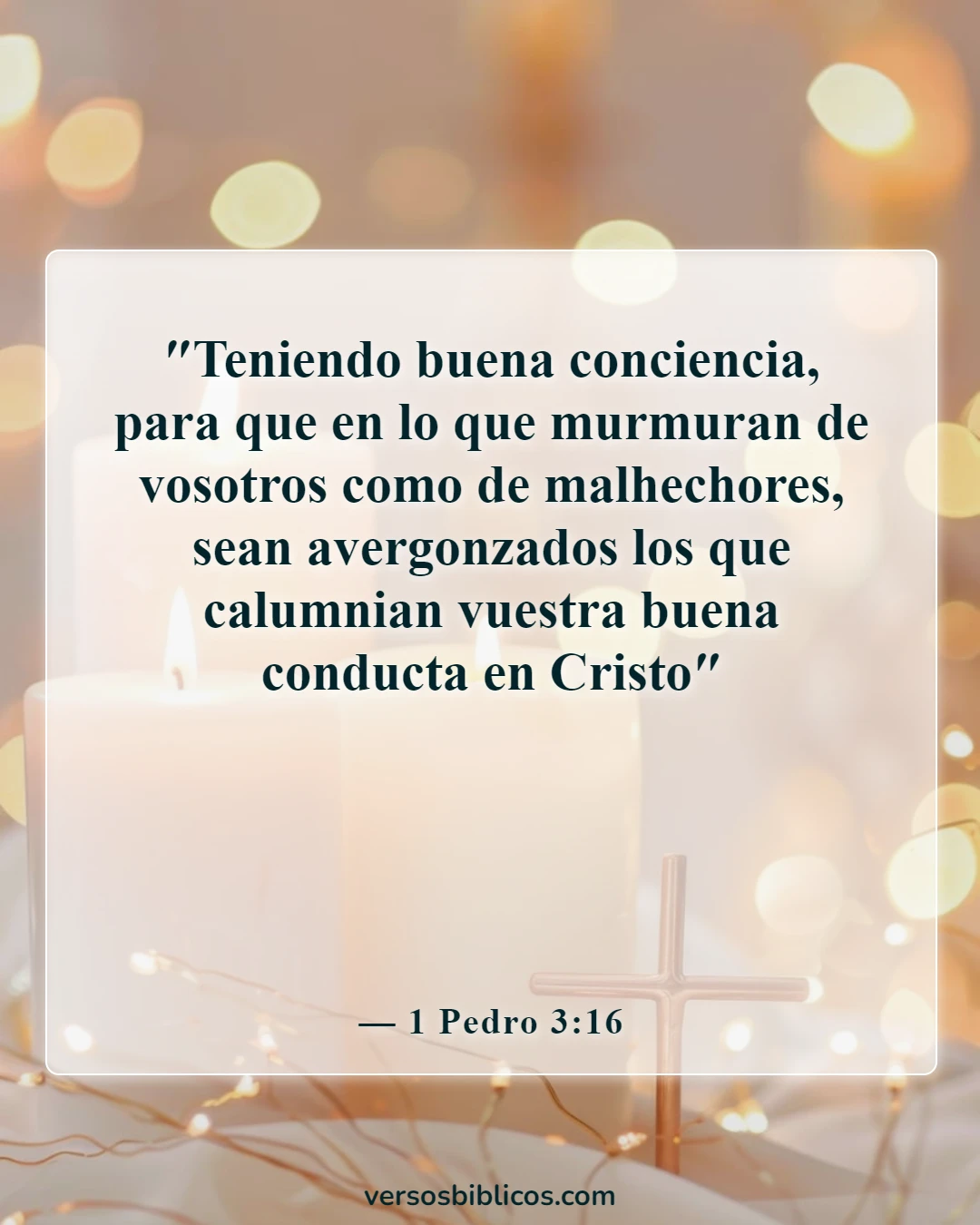 Versículos de la Biblia sobre la limpieza (1 Pedro 3:16)