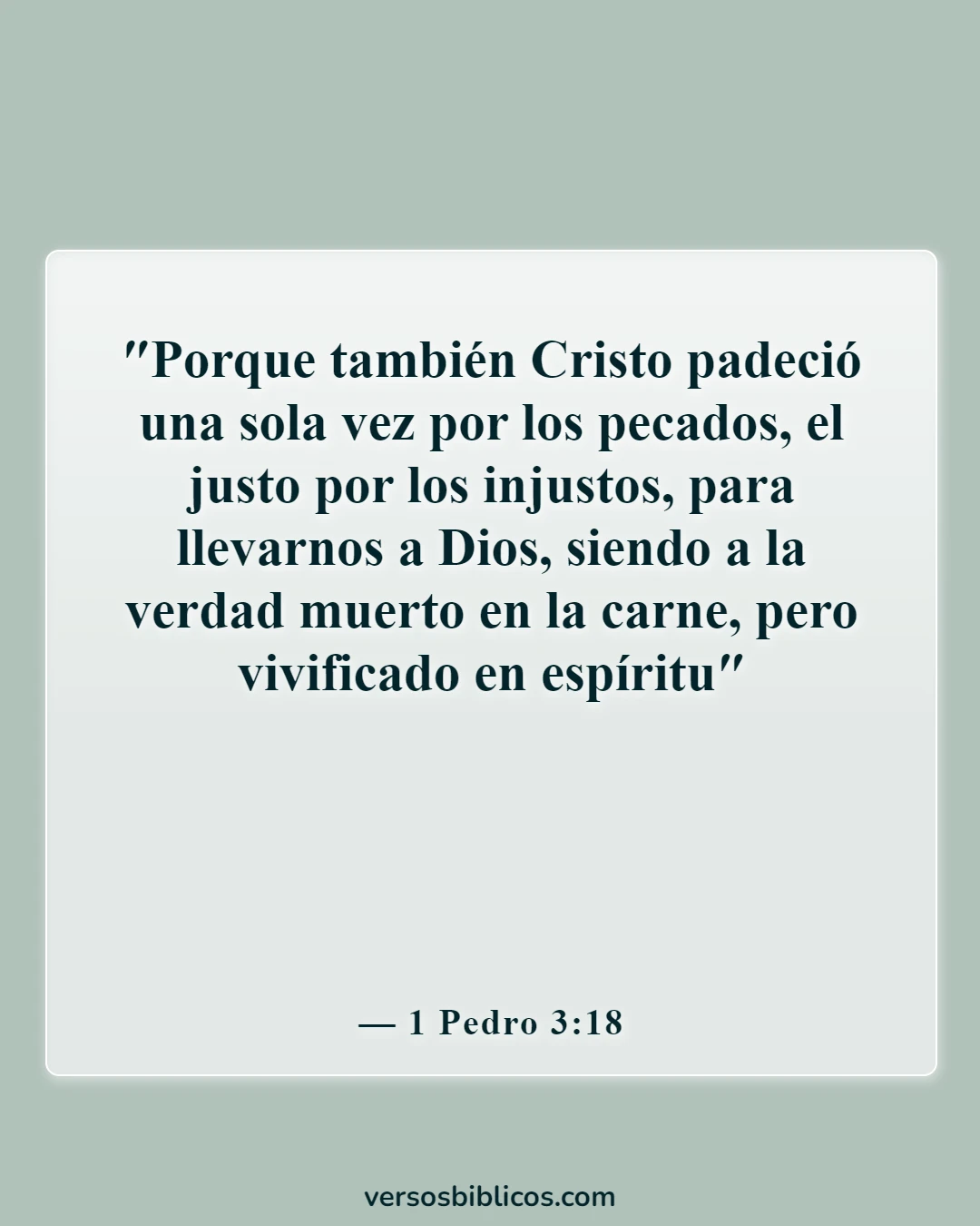 Versículos de la Biblia sobre Jesús sufriendo por nuestros pecados (1 Pedro 3:18)