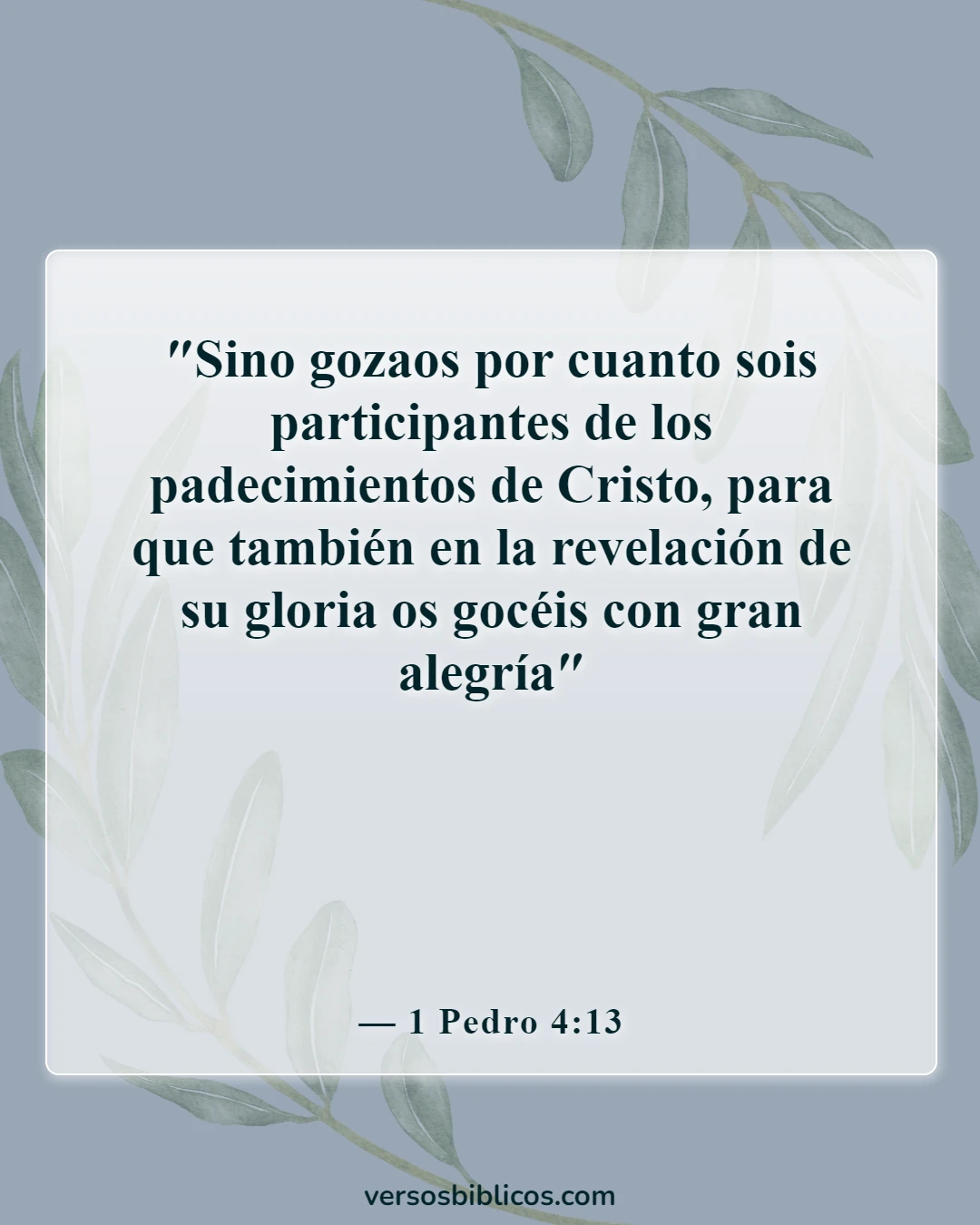 Versículos de la Biblia sobre agradecido por las pruebas (1 Pedro 4:13)
