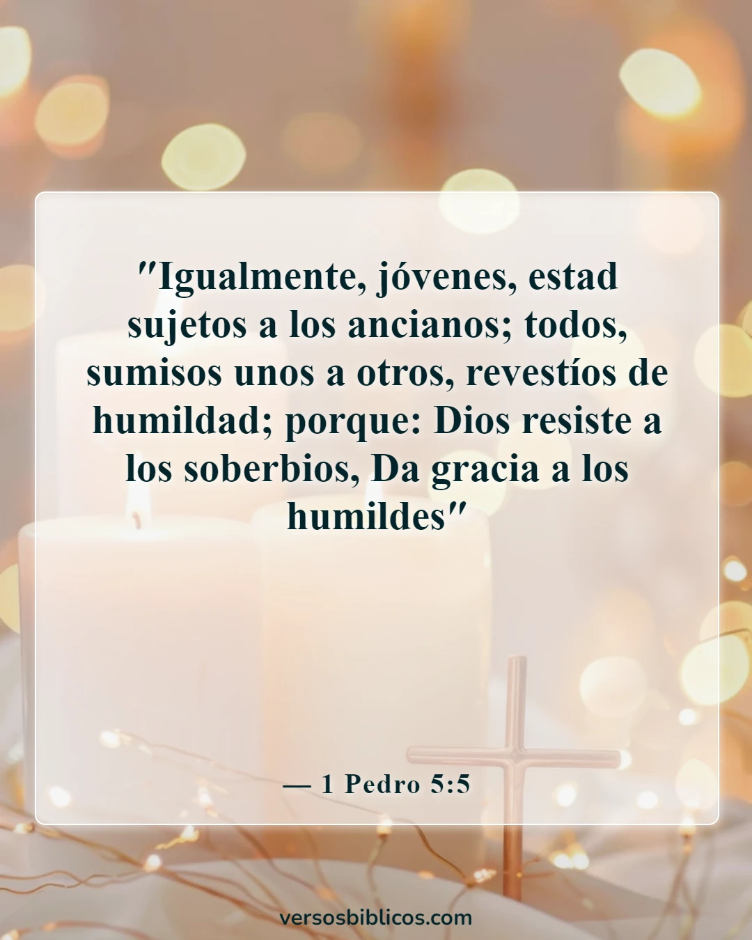 Versículos de la Biblia sobre la ropa de mujer (1 Pedro 5:5)