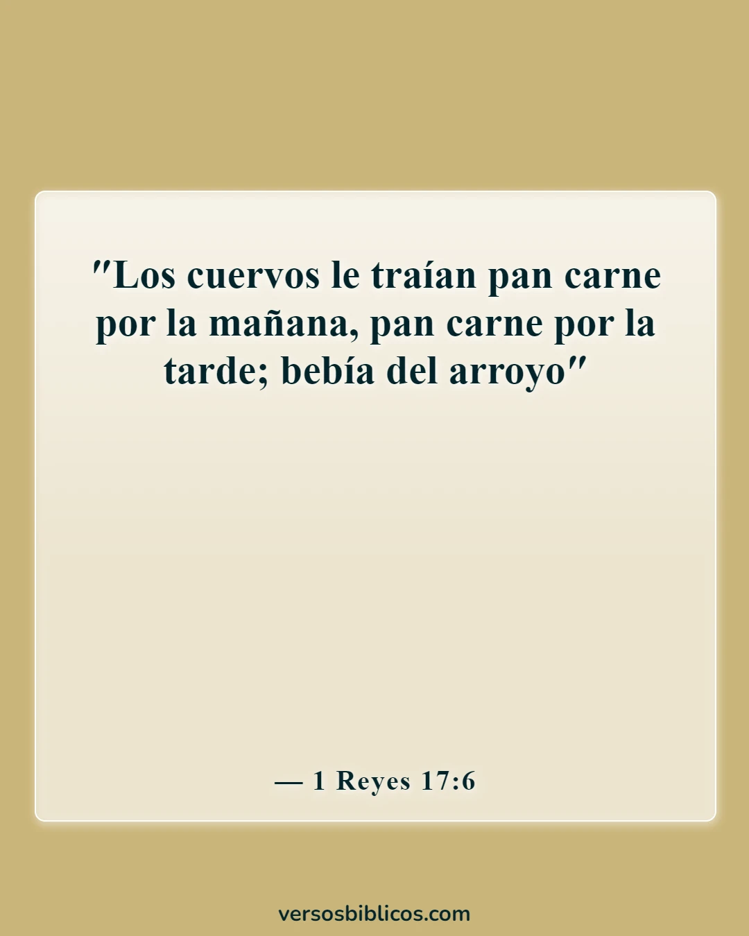 Versículos de la Biblia sobre la provisión de Dios (1 Reyes 17:6)