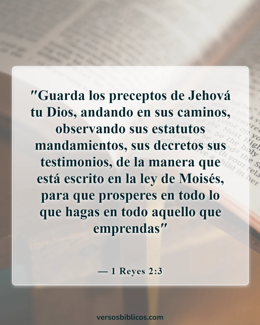 Versículos de la Biblia sobre la buena fortuna (1 Reyes 2:3)