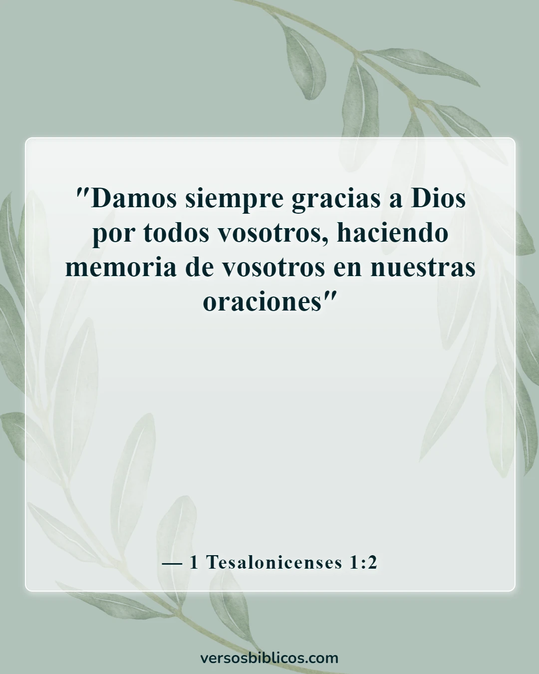 Versículos de la Biblia sobre agradecer por las pequeñas cosas (1 Tesalonicenses 1:2)