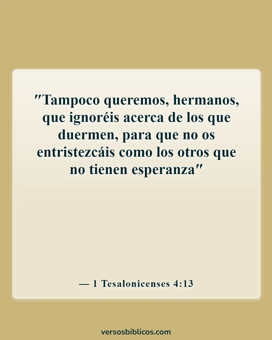 Versículos de la Biblia sobre extrañar a un ser querido (1 Tesalonicenses 4:13)