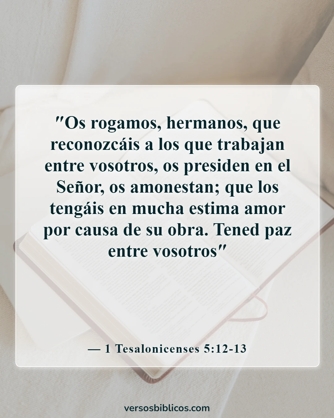 Versículos de la Biblia sobre el aprecio y la gratitud hacia los demás (1 Tesalonicenses 5:12-13)