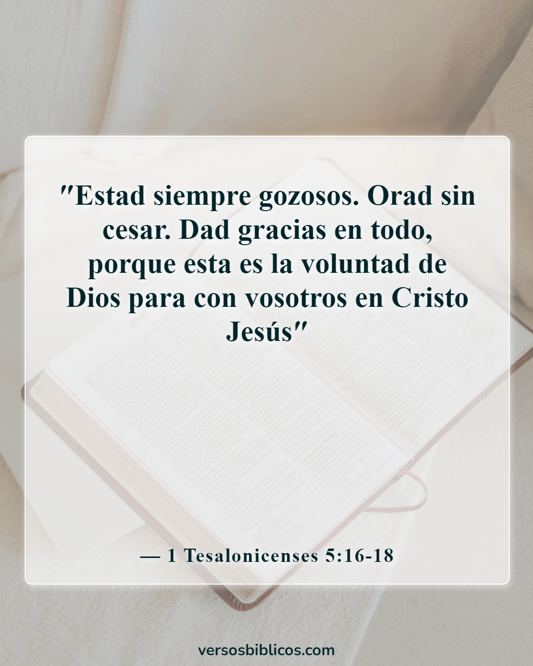 Versículos de la Biblia sobre vivir la vida con propósito (1 Tesalonicenses 5:16-18)