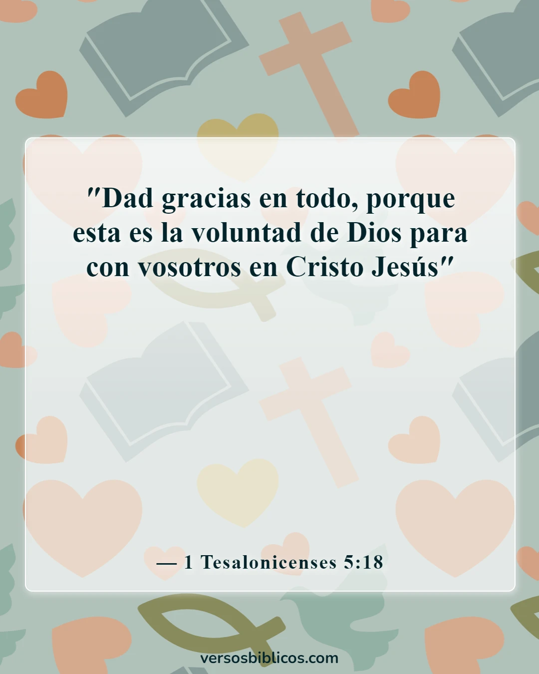 Versículos de la Biblia sobre agradecido por las pruebas (1 Tesalonicenses 5:18)