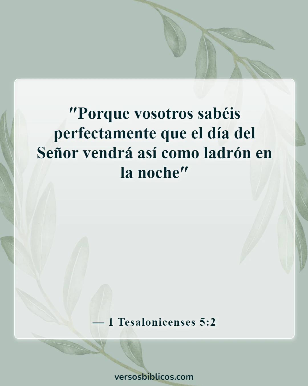 Versículos de la Biblia sobre el rapto (1 Tesalonicenses 5:2)