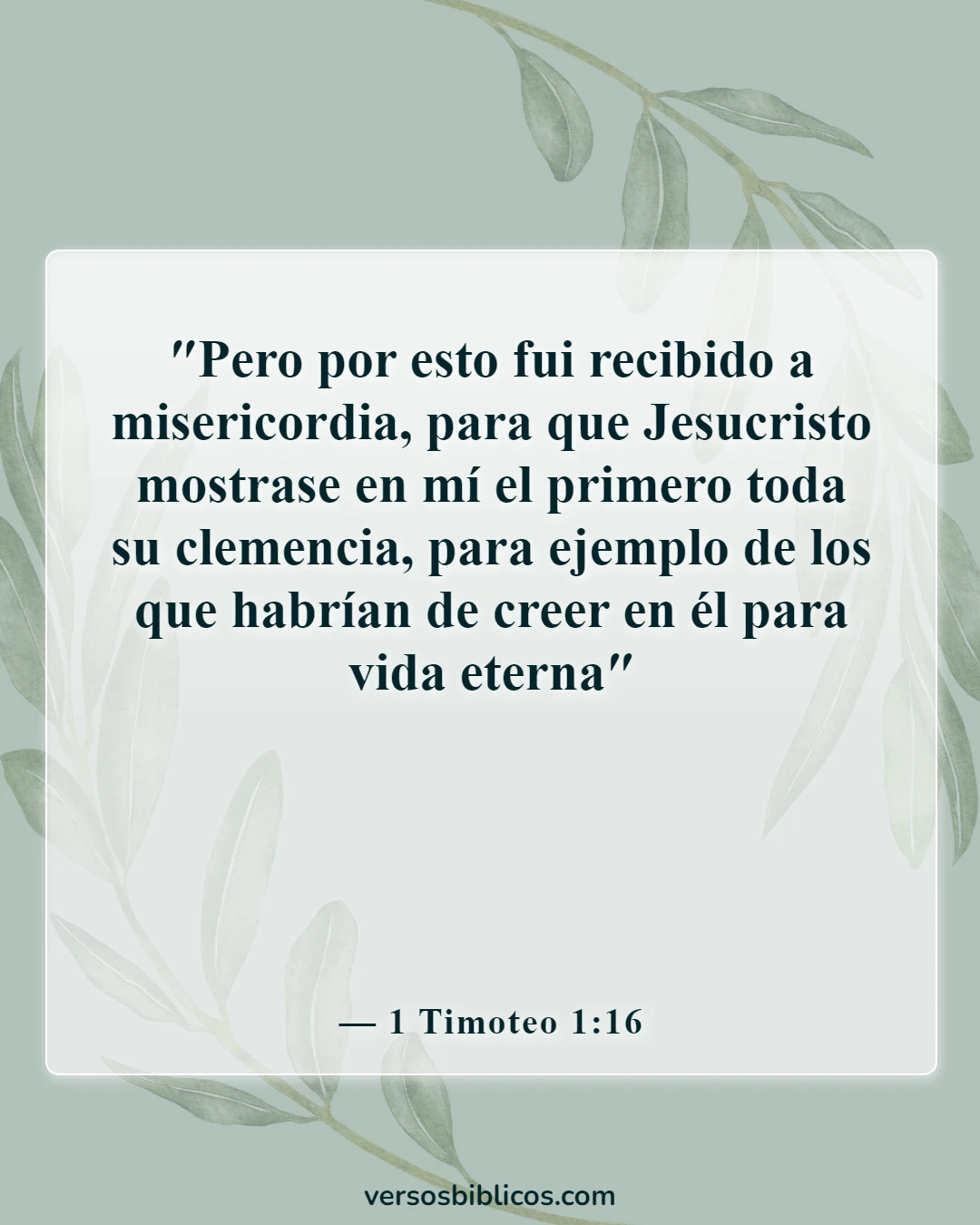 Versículos de la Biblia sobre no juzgar (1 Timoteo 1:16)