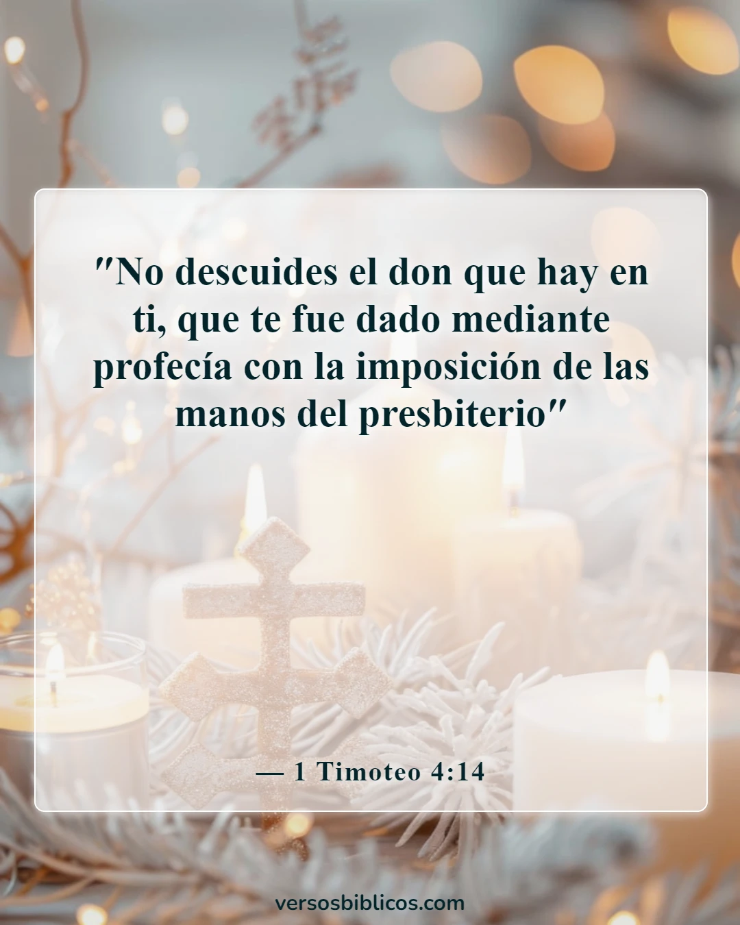 Versículos de la Biblia sobre poderosas profecías (1 Timoteo 4:14)