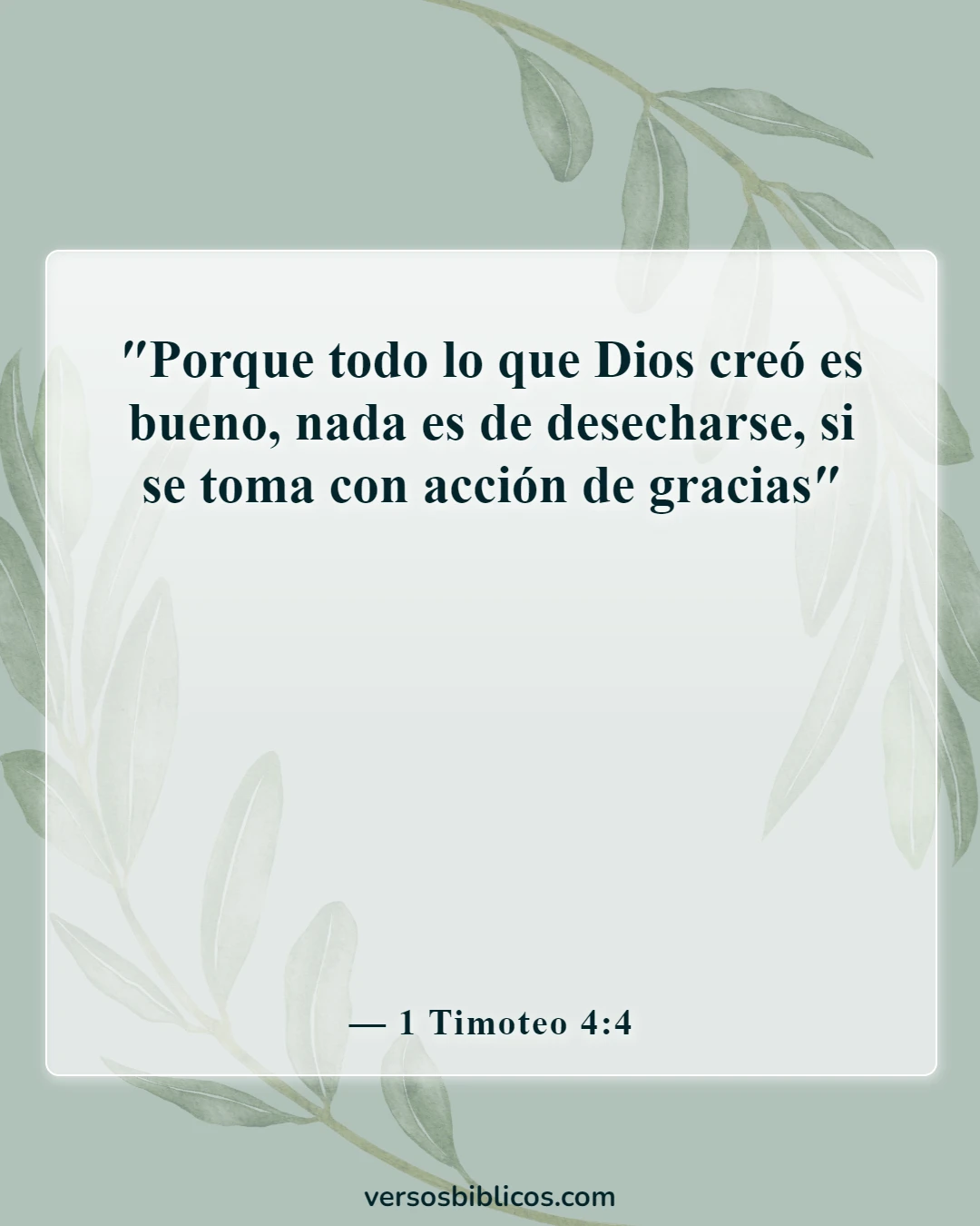 Versículos de la Biblia sobre la diversión (1 Timoteo 4:4)