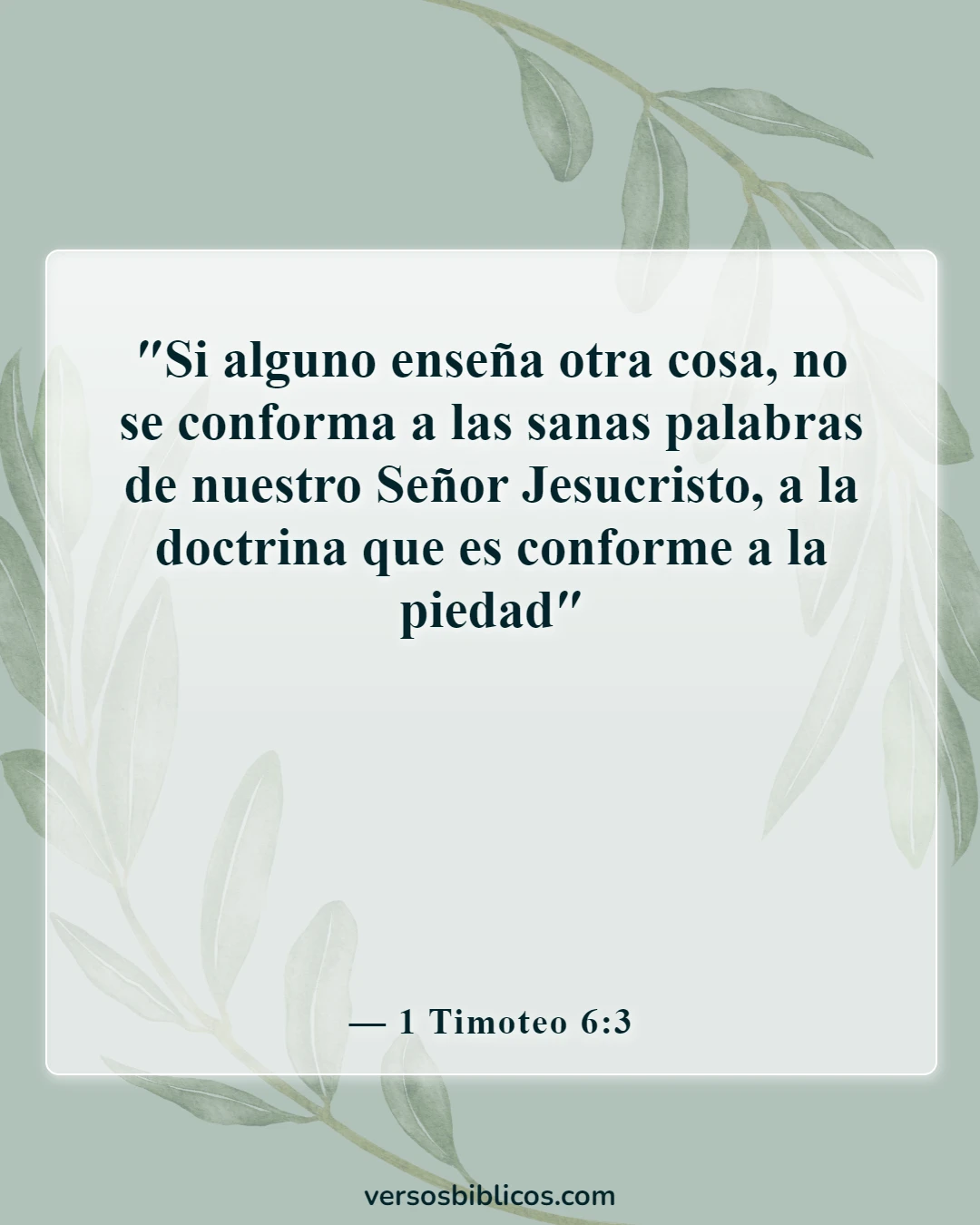 Versículos de la Biblia sobre falsos profetas y maestros (1 Timoteo 6:3)