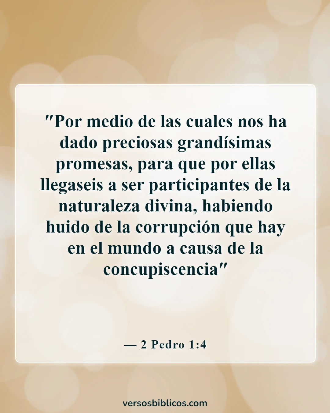 Versículos de la Biblia sobre los apartados del mundo (2 Pedro 1:4)