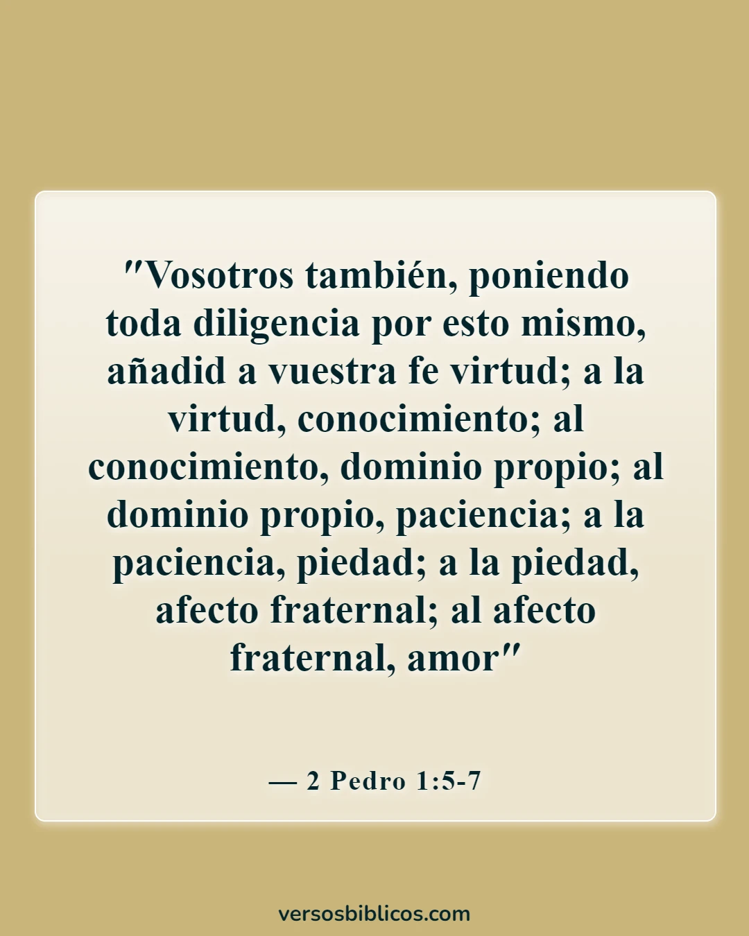 Versículos de la Biblia sobre el comportamiento (2 Pedro 1:5-7)