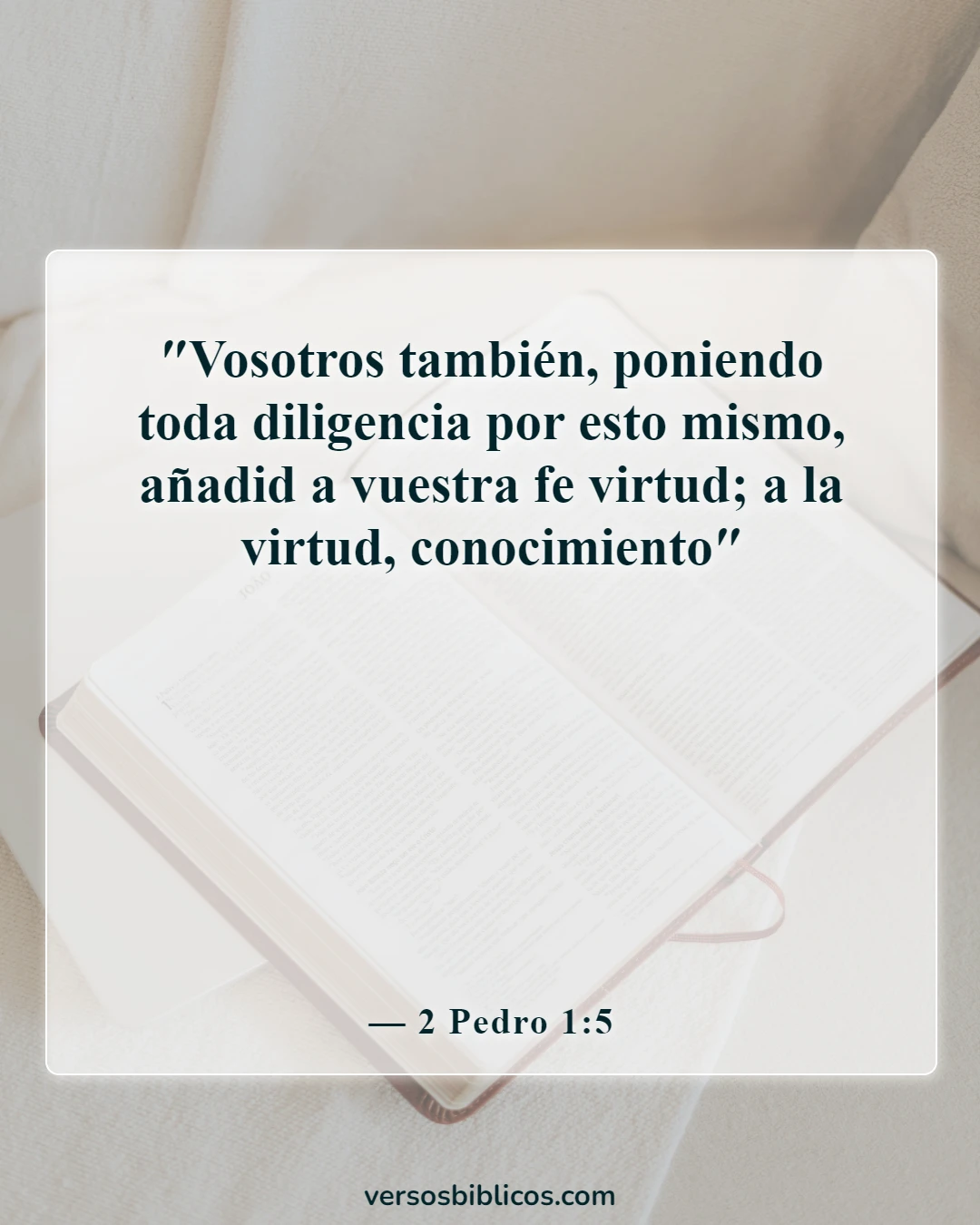 Versículos de la Biblia sobre la enseñanza a los niños (2 Pedro 1:5)