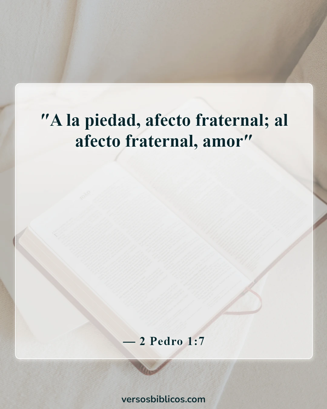 Versículos de la Biblia sobre la bondad (2 Pedro 1:7)