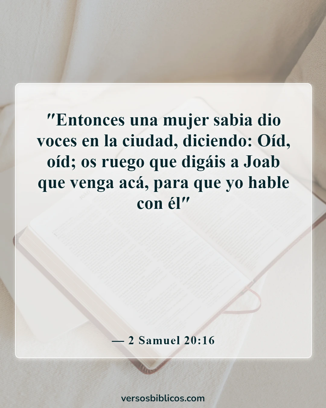 Versículos de la Biblia sobre la mujer sabia (2 Samuel 20:16)