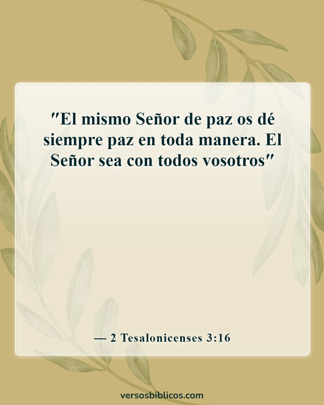 Versículos de la Biblia sobre la paz en la presencia de Dios (2 Tesalonicenses 3:16)