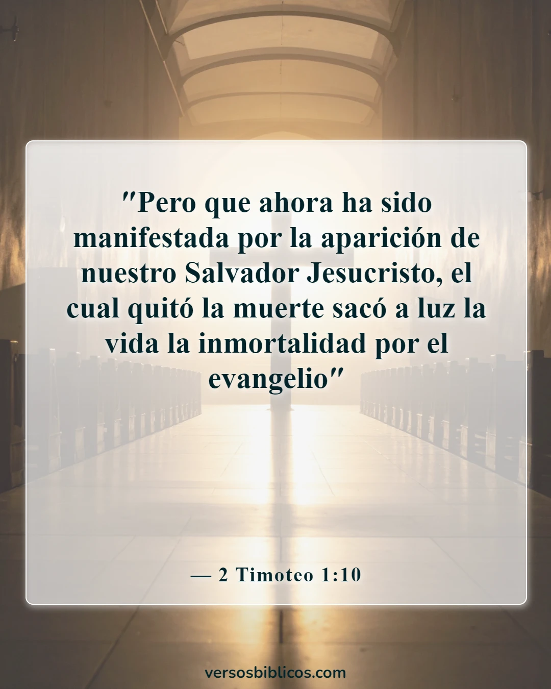 Versículos de la Biblia sobre ir al cielo (2 Timoteo 1:10)