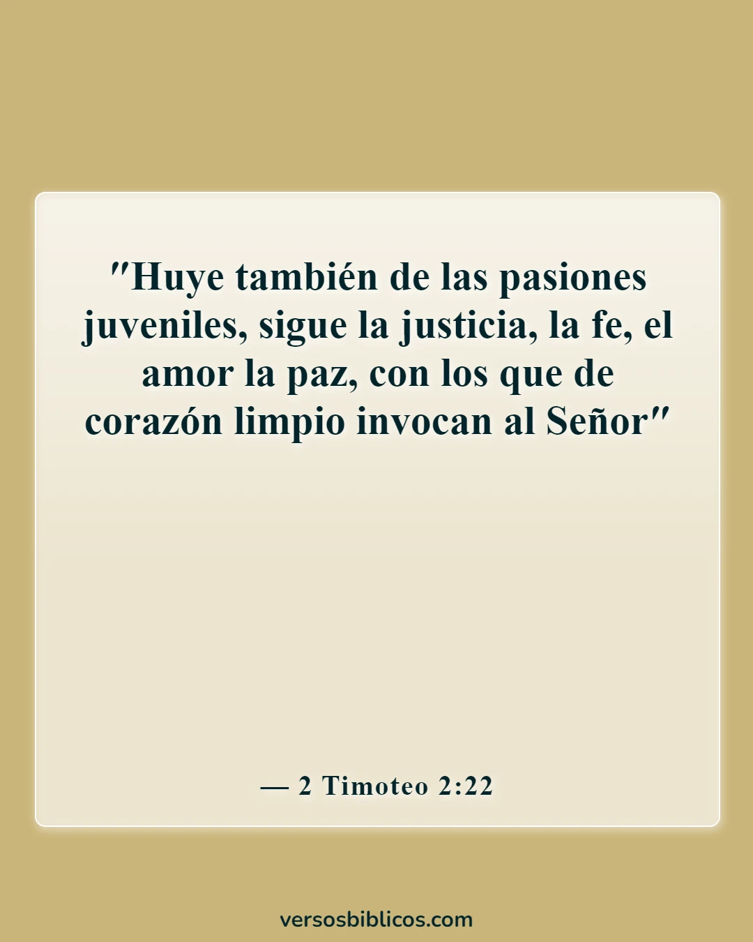 Versículos de la Biblia sobre Masterbation (2 Timoteo 2:22)