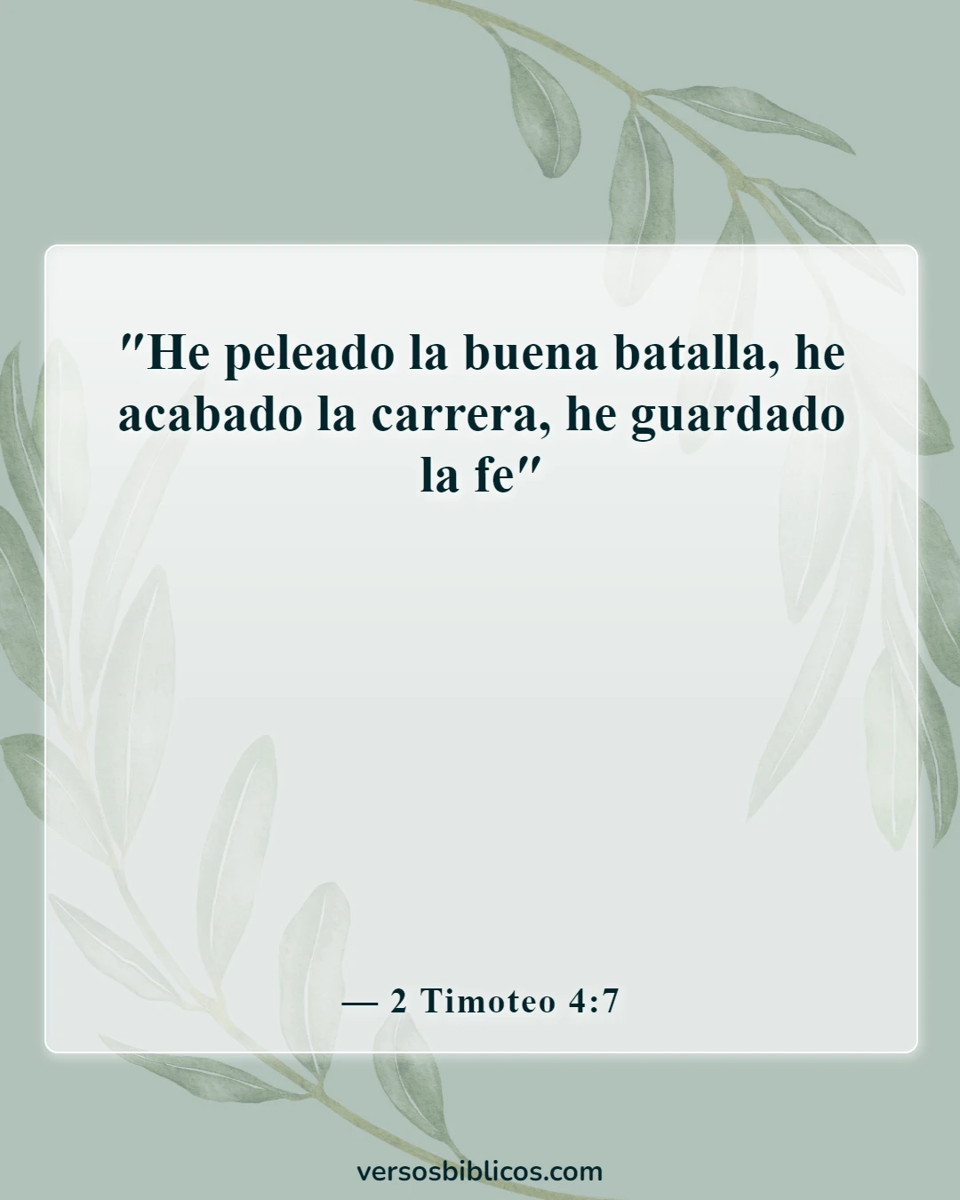 Versículos de la Biblia sobre la determinación (2 Timoteo 4:7)