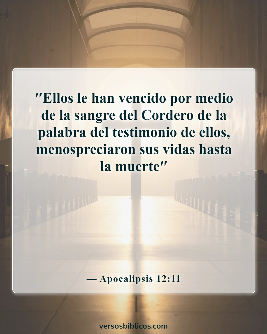 Versículos de la Biblia sobre el testimonio (Apocalipsis 12:11)