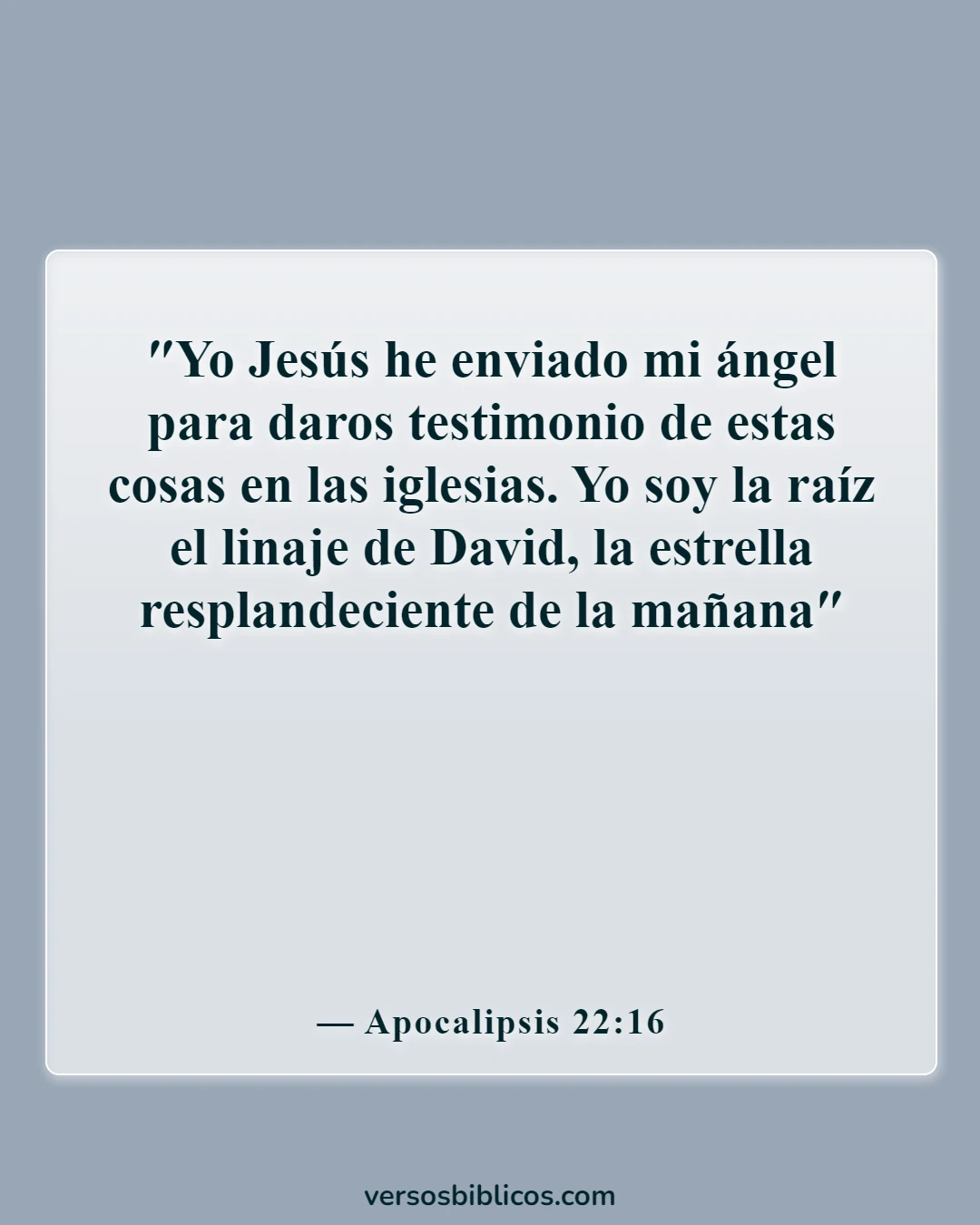 Versículos de la Biblia sobre la Navidad (Apocalipsis 22:16)