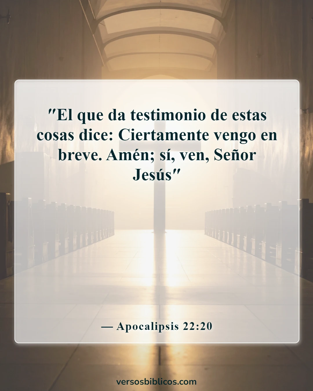 Versículos de la Biblia sobre el rapto (Apocalipsis 22:20)