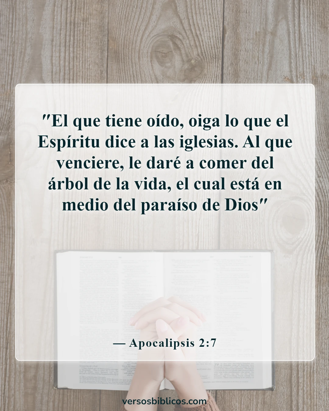Versículos de la Biblia sobre los árboles (Apocalipsis 2:7)
