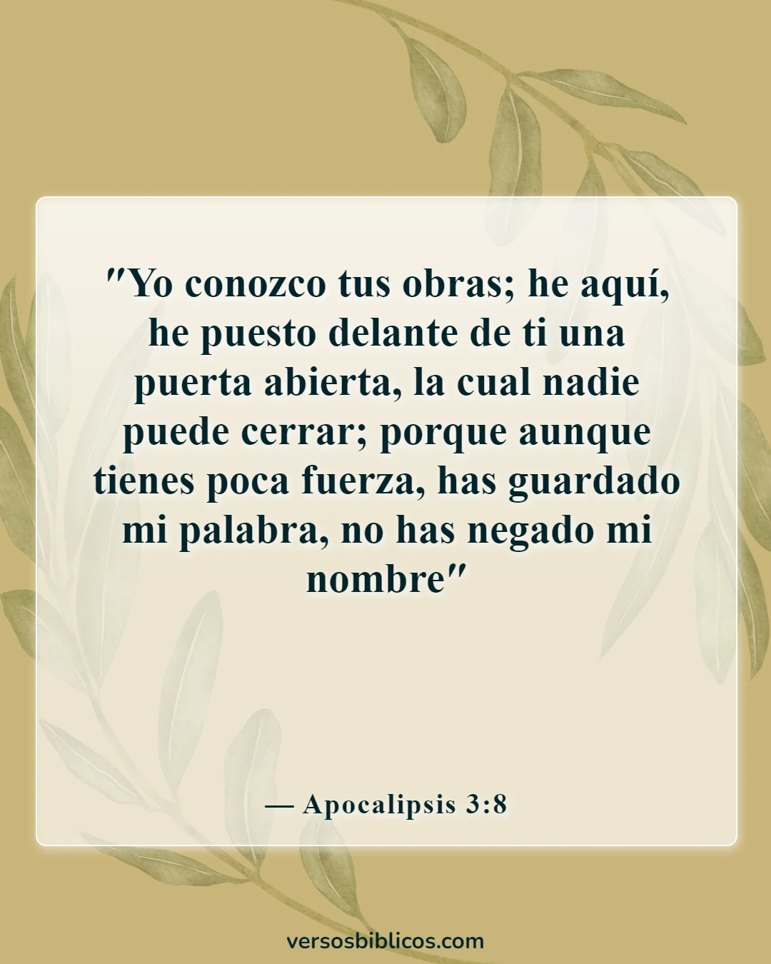 Versículos de la Biblia sobre Dios te está preparando para cosas mayores (Apocalipsis 3:8)