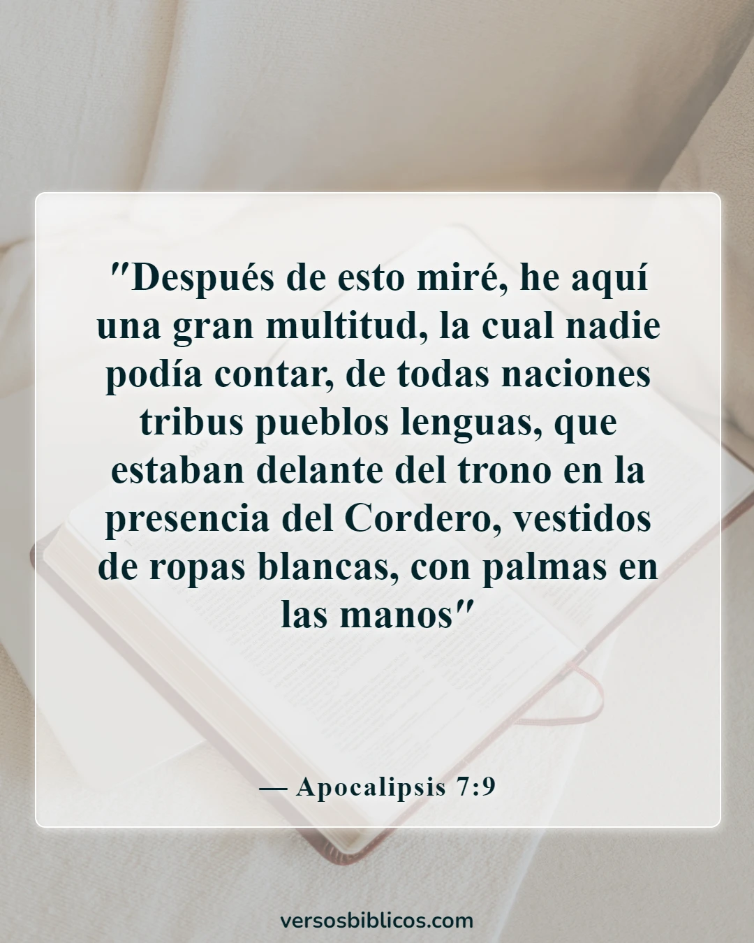 Versículos de la Biblia sobre aceptar a los demás (Apocalipsis 7:9)