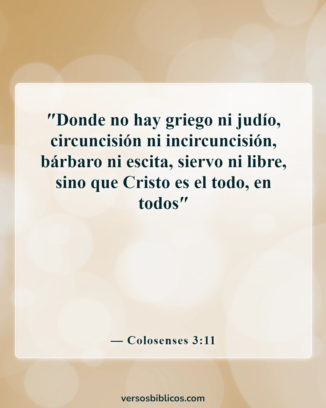 Versículos de la Biblia sobre aceptar a los demás (Colosenses 3:11)
