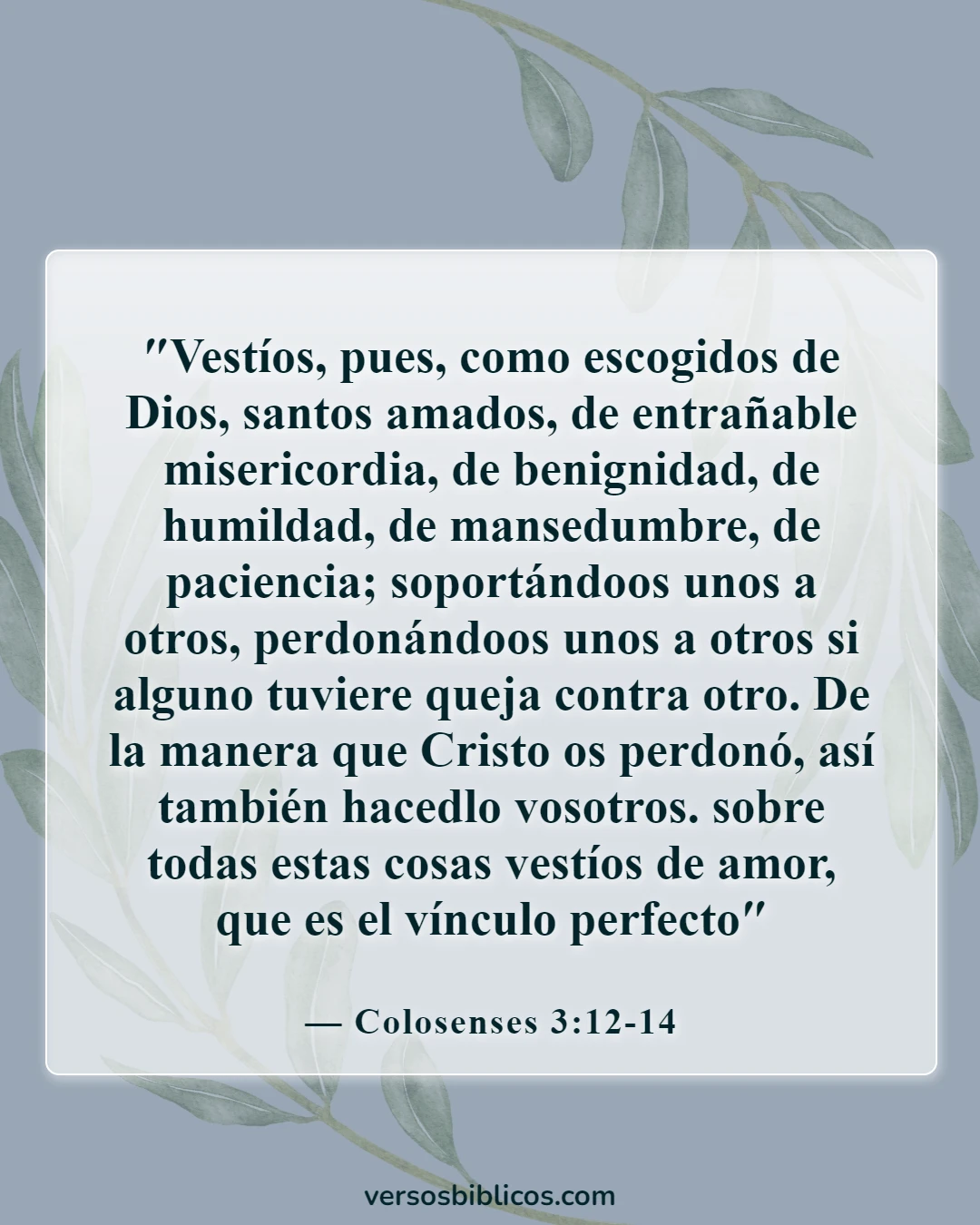 Versículos de la Biblia sobre amar al prójimo (Colosenses 3:12-14)