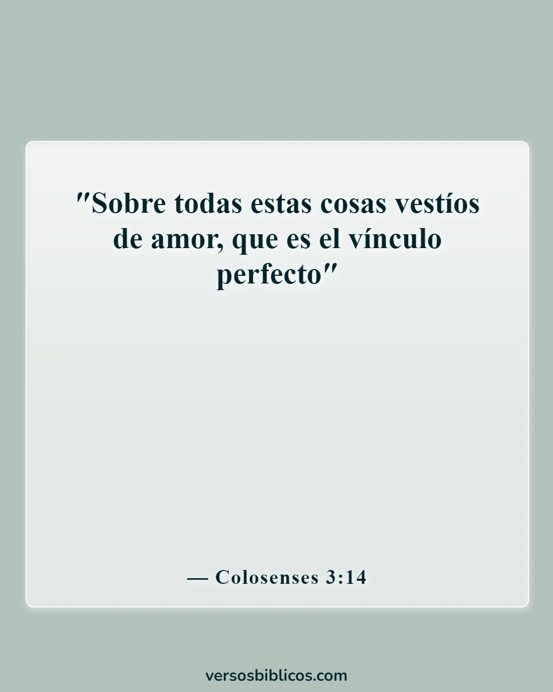 Versículos de la Biblia sobre el compromiso mutuo (Colosenses 3:14)