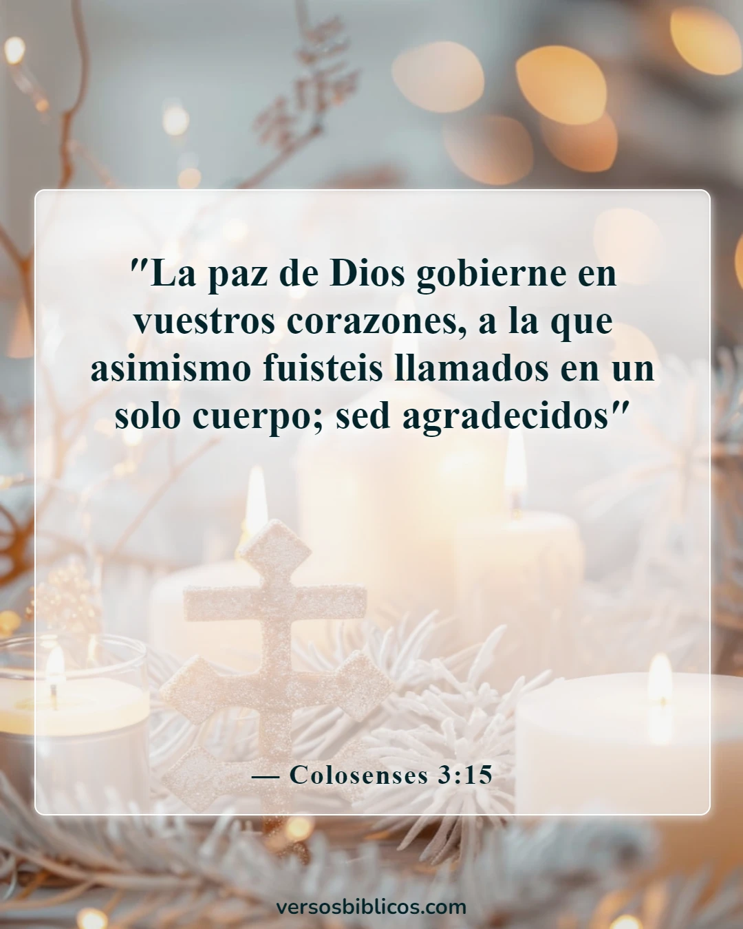 Versículos de la Biblia sobre la paz en la presencia de Dios (Colosenses 3:15)