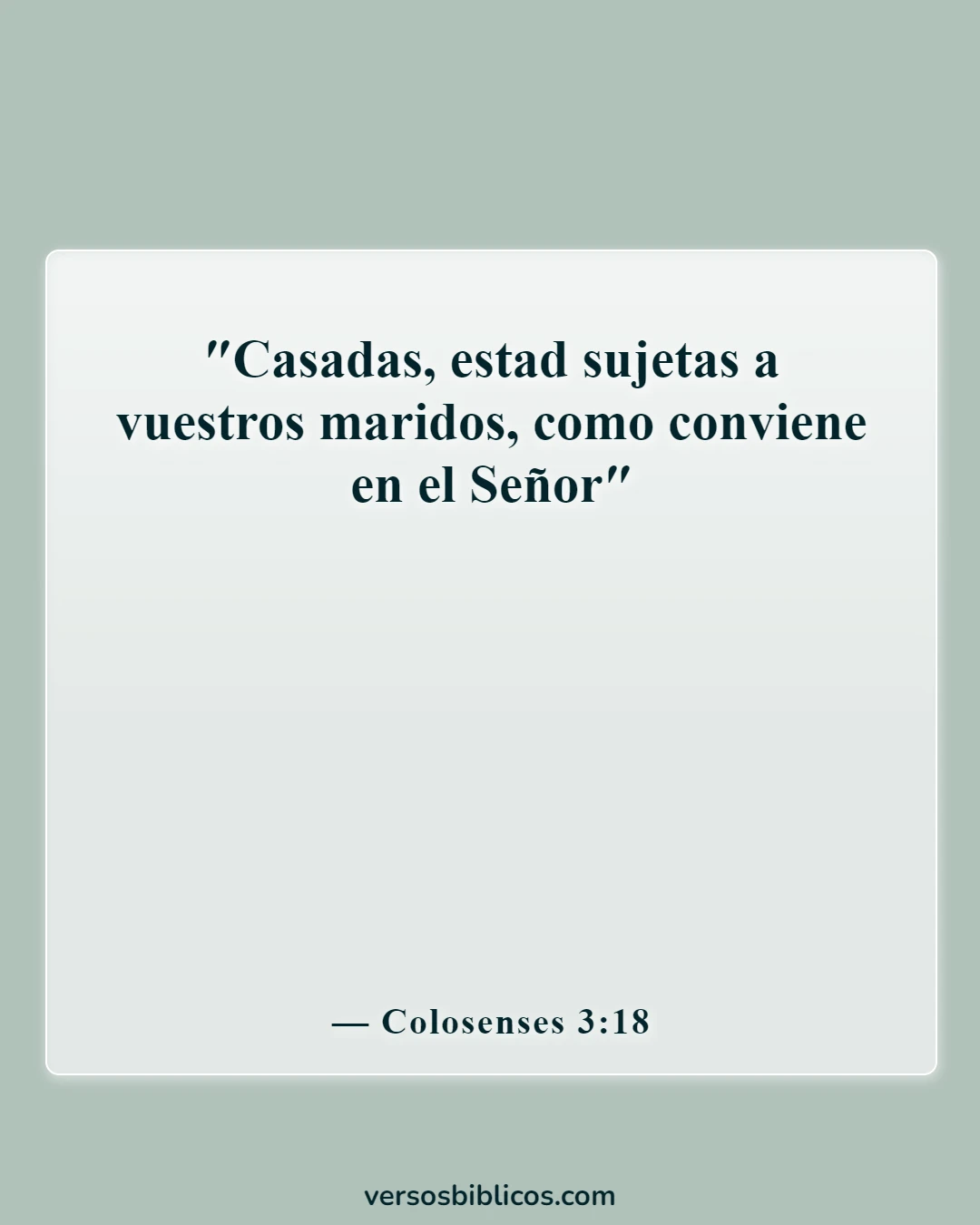 Versículos de la Biblia sobre una esposa que le falta el respeto a su marido (Colosenses 3:18)