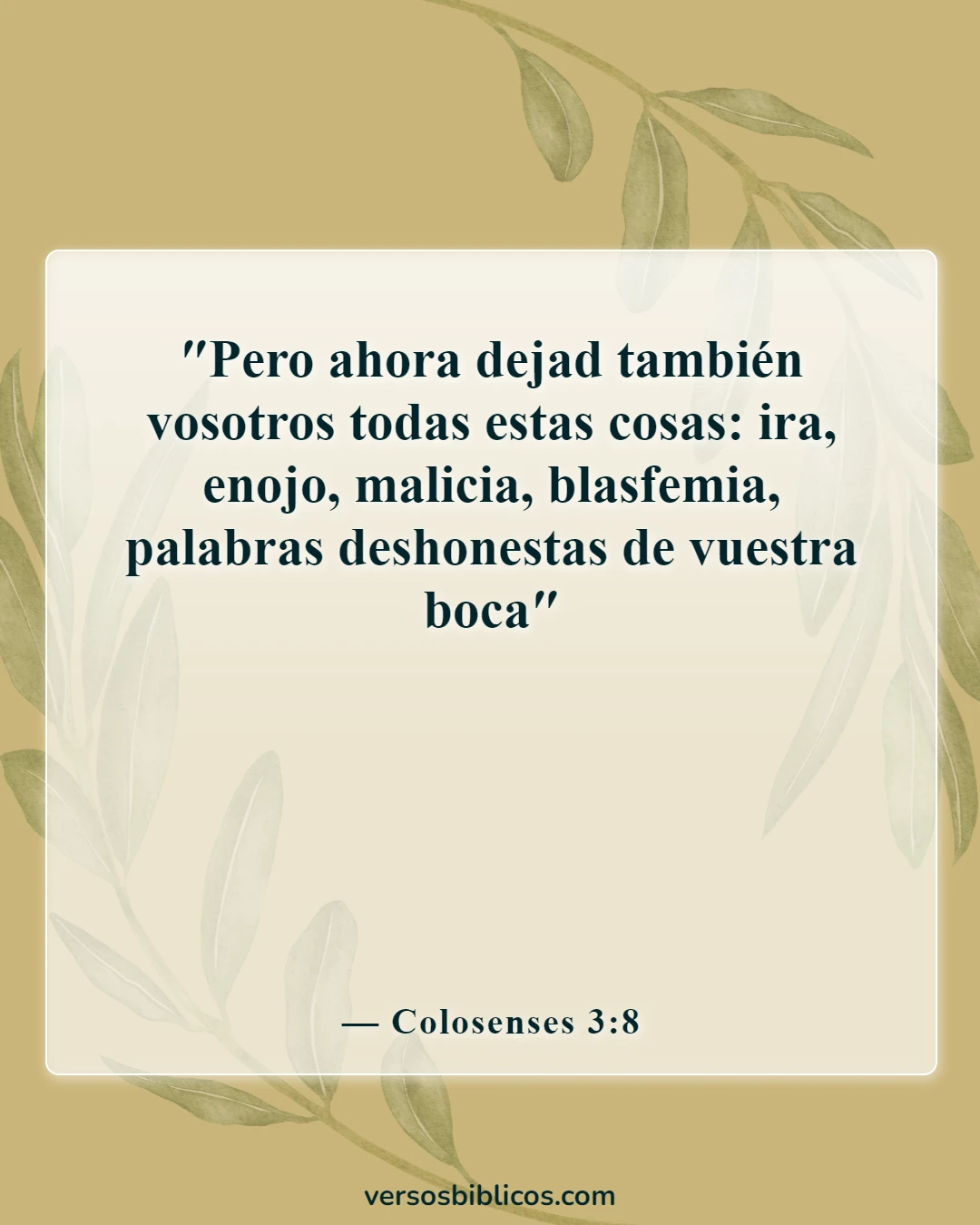 Versículos de la Biblia sobre problemas de actitud (Colosenses 3:8)