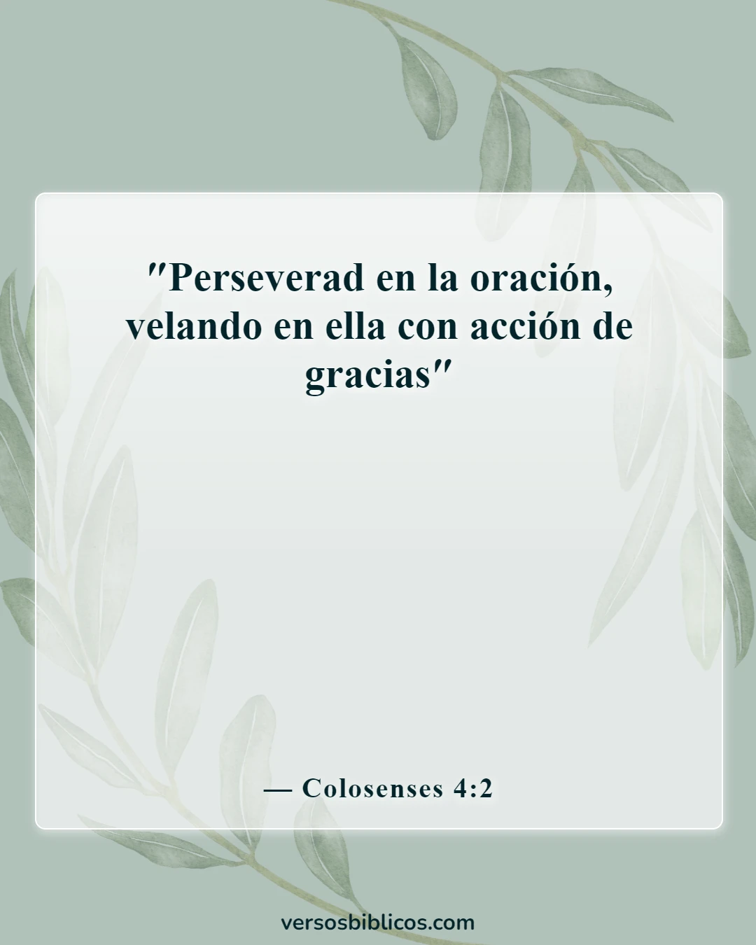 Versículos de la Biblia sobre orar y orar por los demás (Colosenses 4:2)