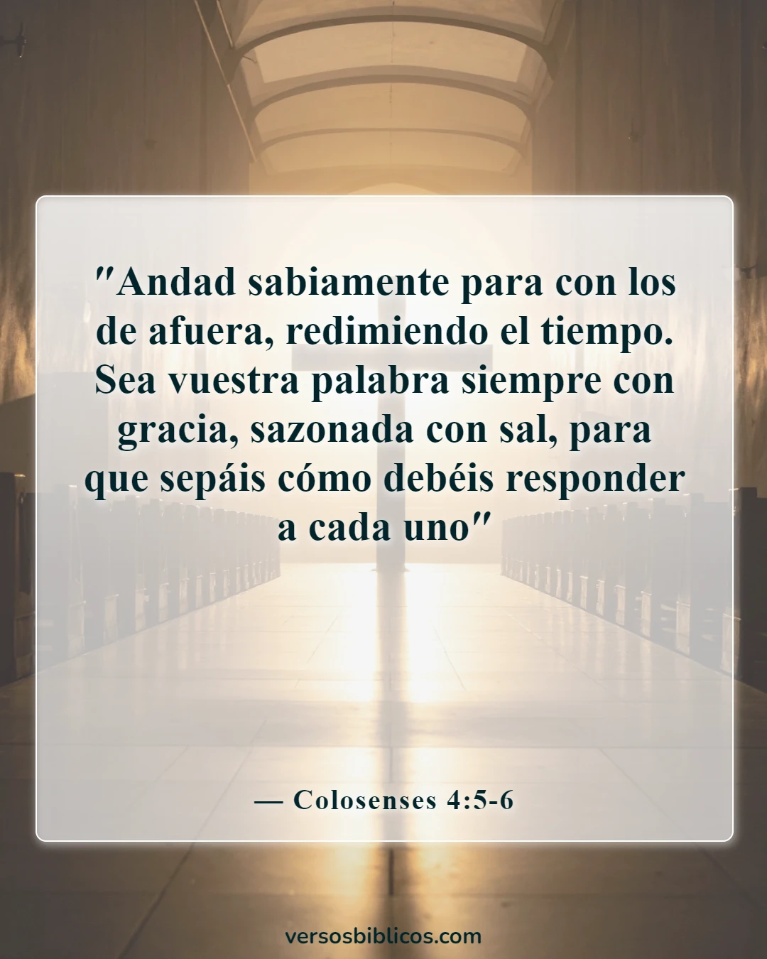 Versículos de la Biblia sobre cómo compartir tu fe (Colosenses 4:5-6)
