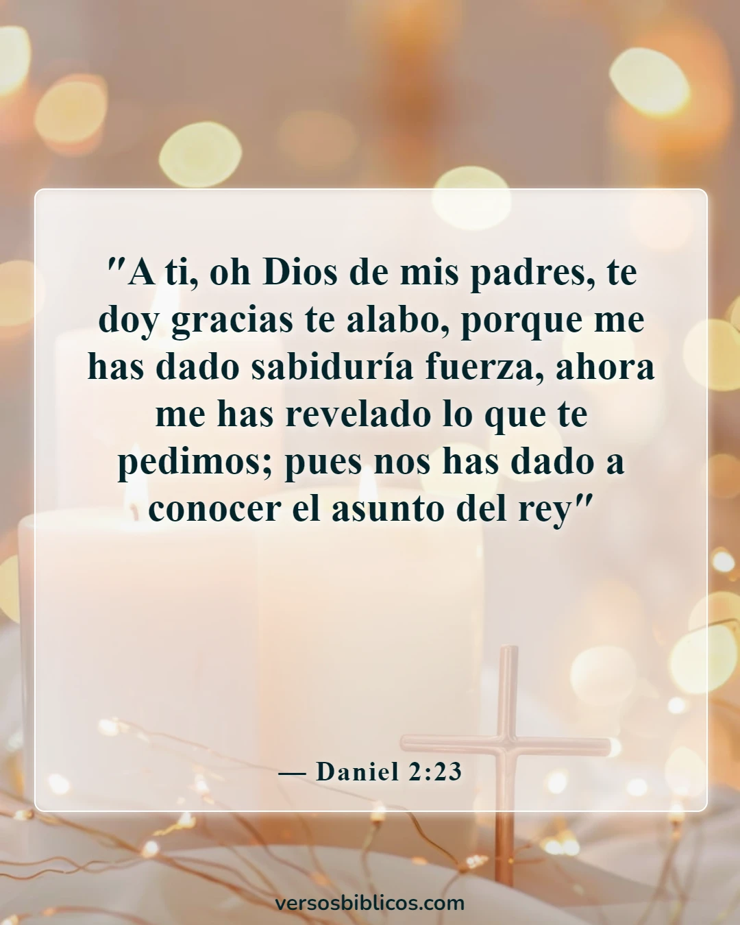 Versículos de la Biblia sobre agradecer a Dios por las bendiciones (Daniel 2:23)