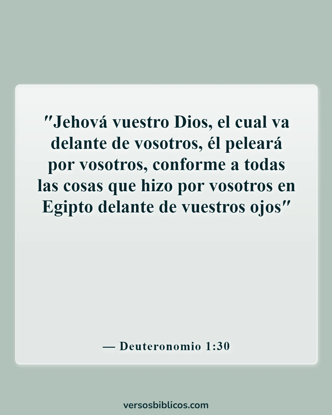 Versículos de la Biblia sobre Dios es un guerrero poderoso (Deuteronomio 1:30)