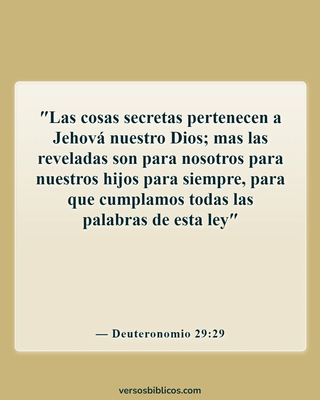 Versículos de la Biblia sobre el conocimiento humano (Deuteronomio 29:29)