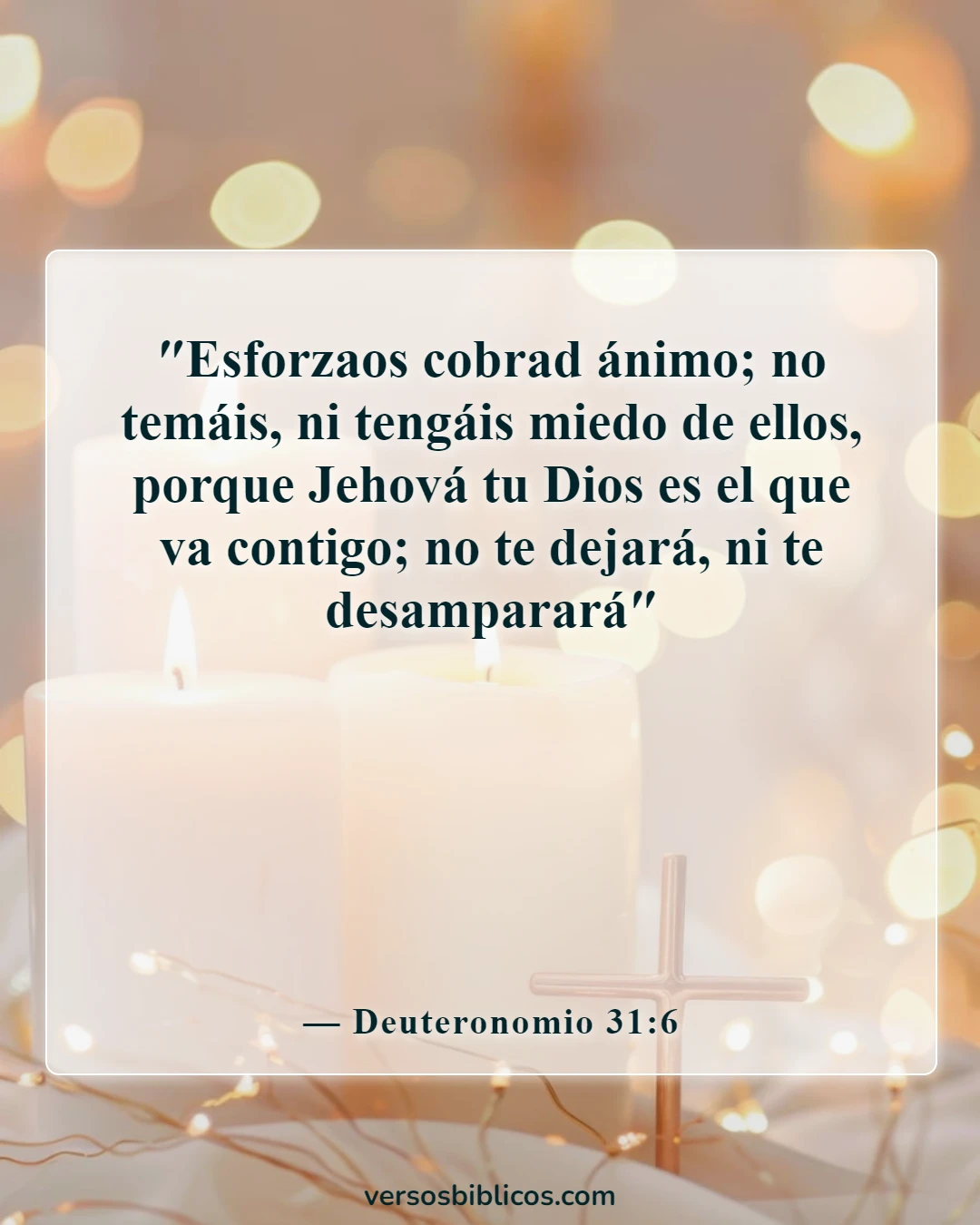 Versículos de la Biblia sobre la soledad (Deuteronomio 31:6)