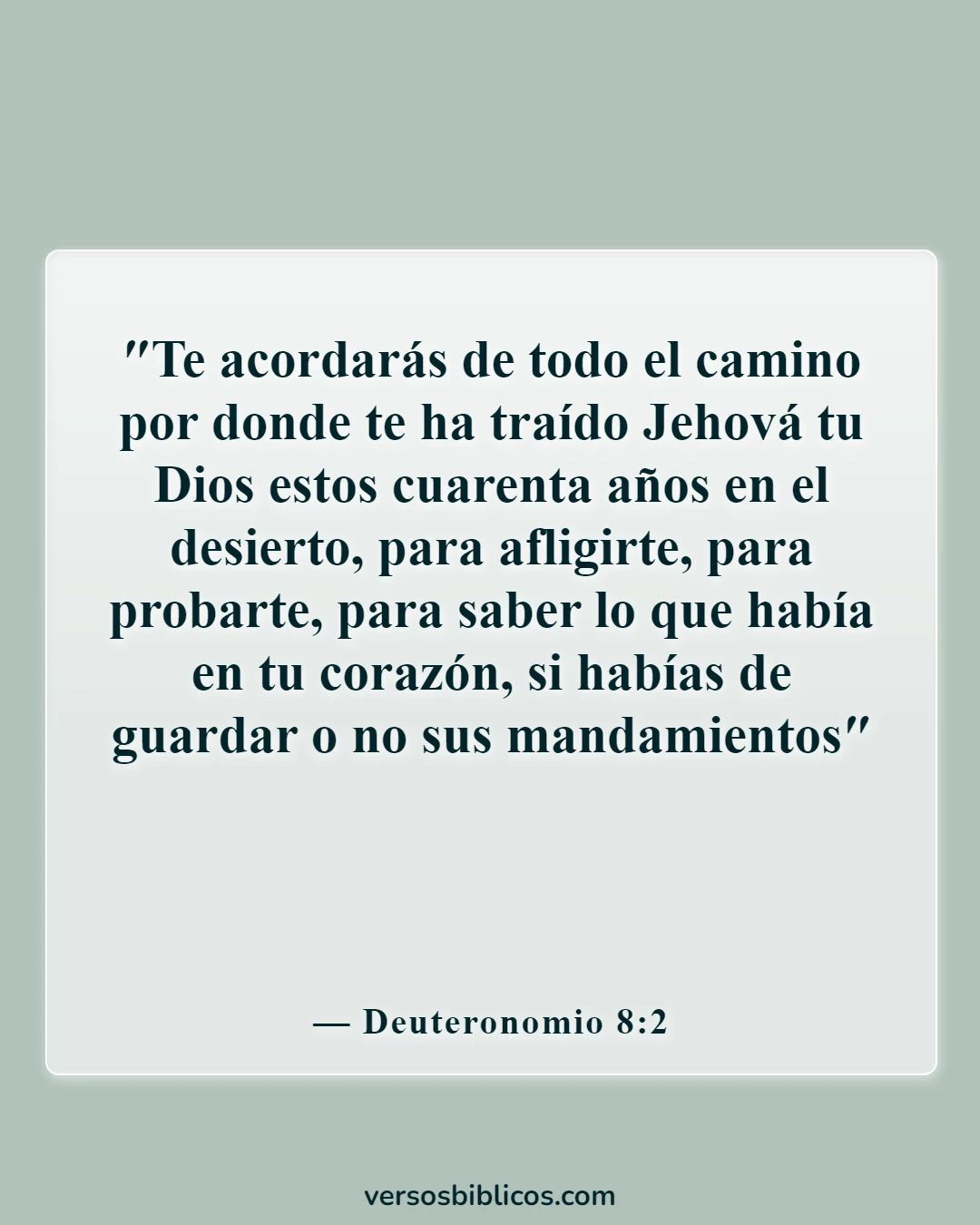 Versículos de la Biblia sobre el regocijo en las pruebas y tentaciones (Deuteronomio 8:2)