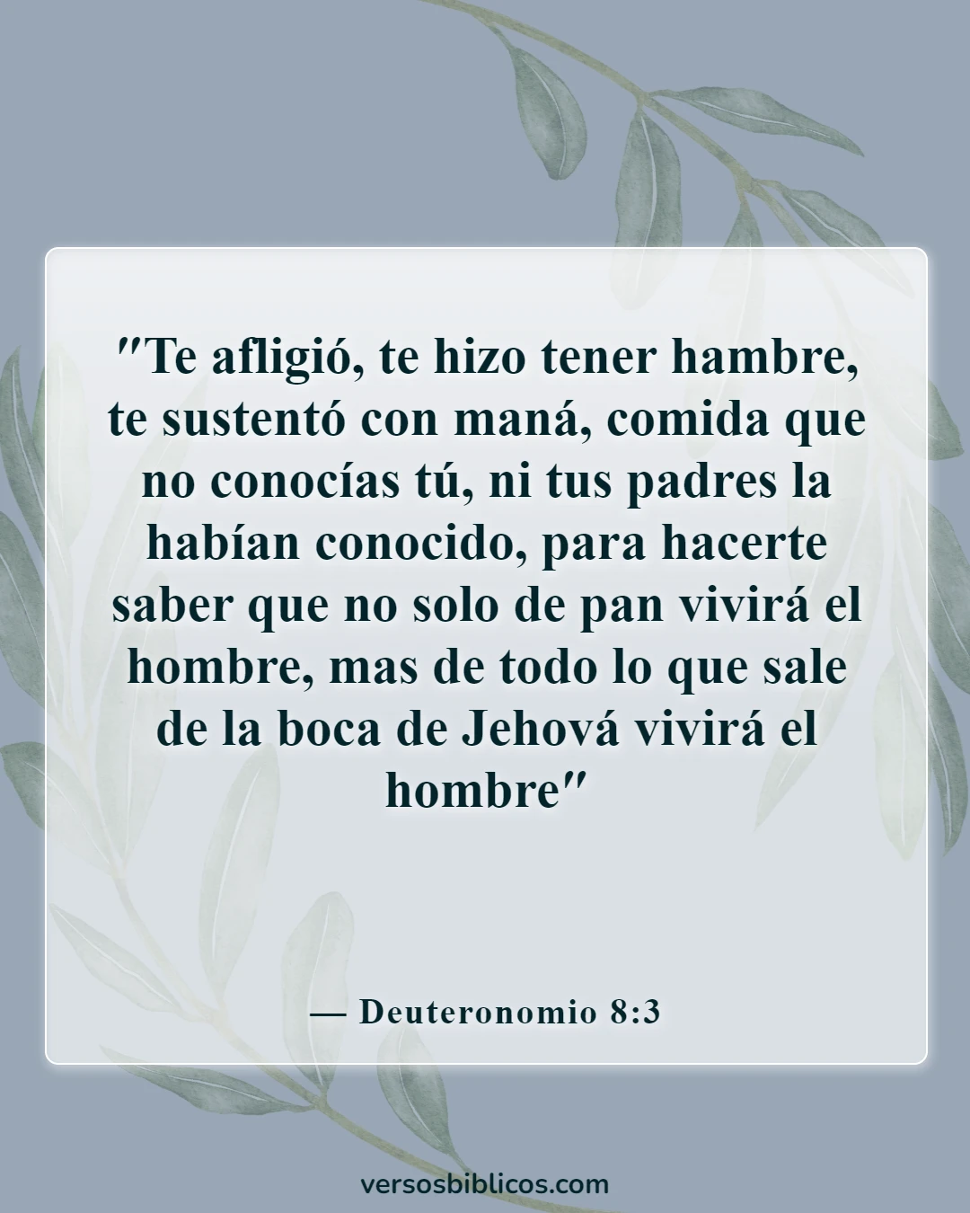Versículos de la Biblia sobre sentirse más cerca de Dios (Deuteronomio 8:3)