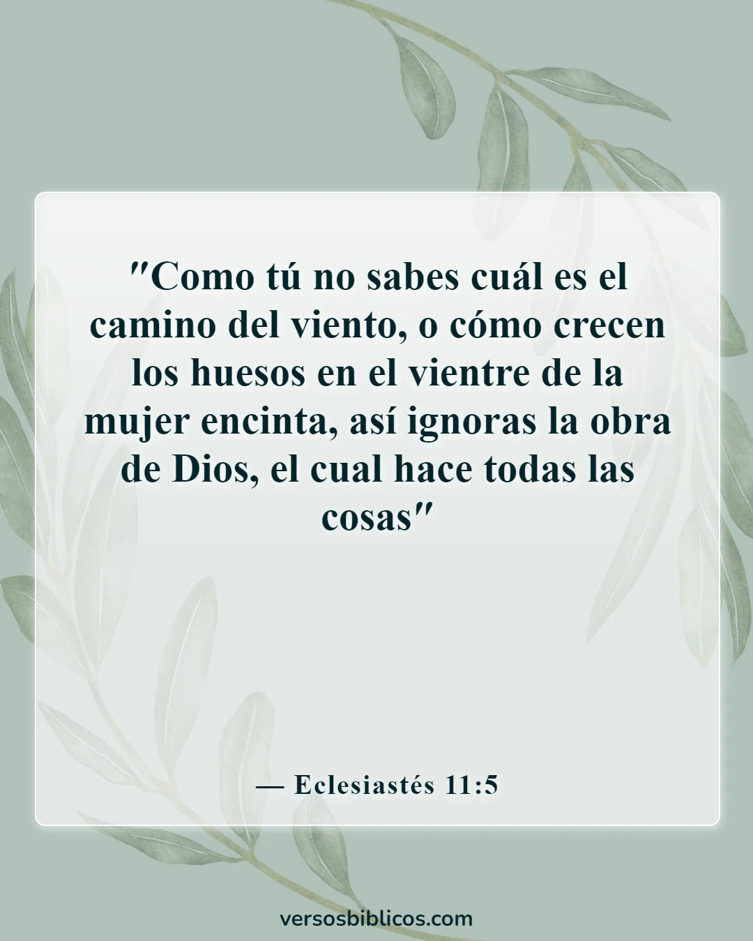 Versículos de la Biblia sobre el embarazo inesperado (Eclesiastés 11:5)