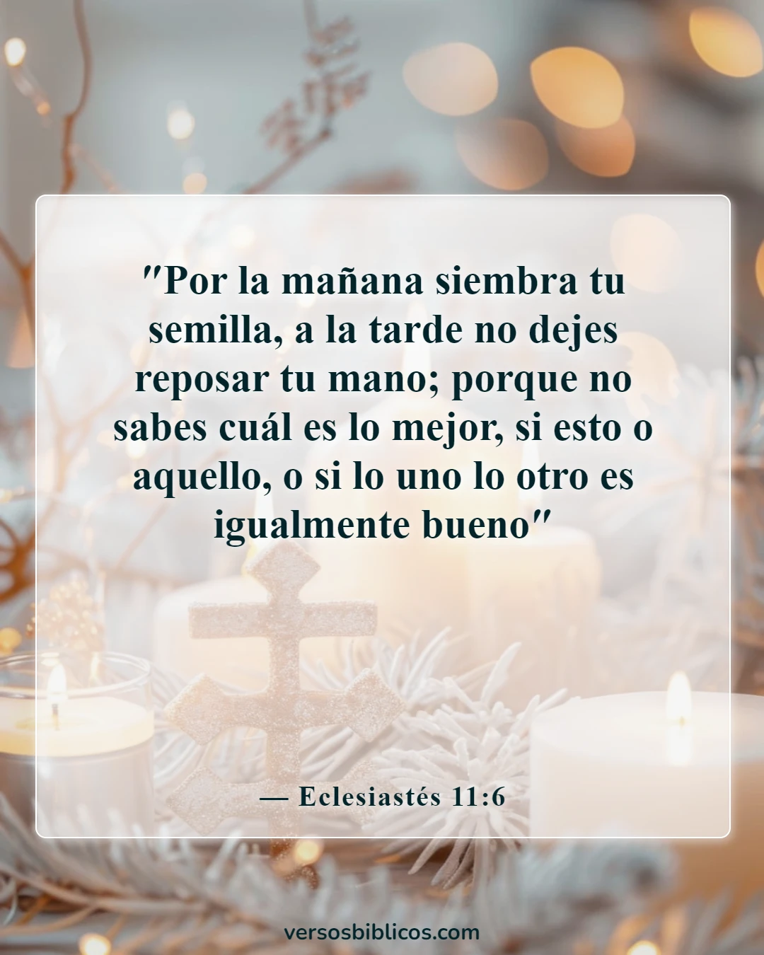 Versículos de la Biblia sobre el éxito en los negocios (Eclesiastés 11:6)
