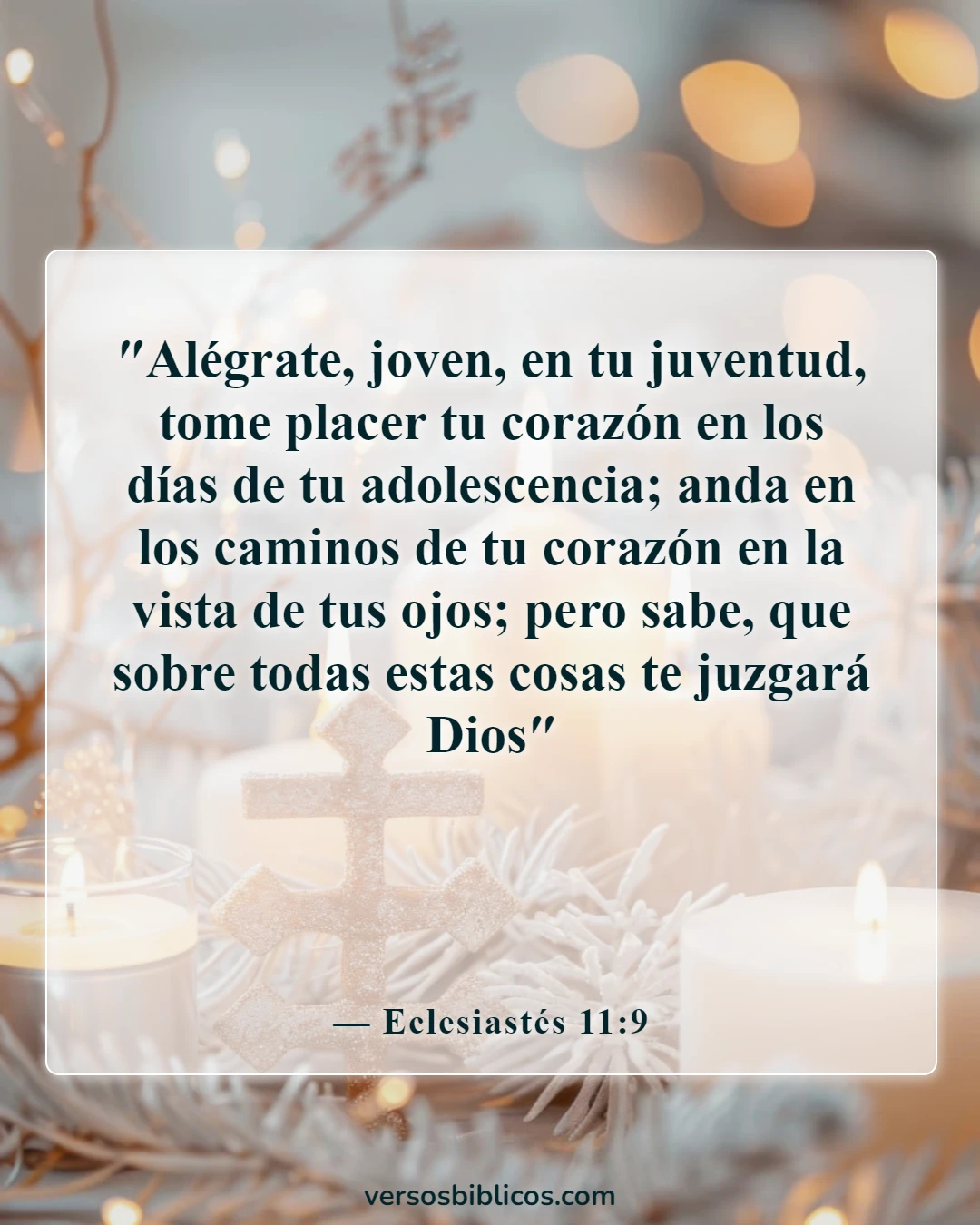 Versículos de la Biblia sobre Dios no se impone a nadie (Eclesiastés 11:9)
